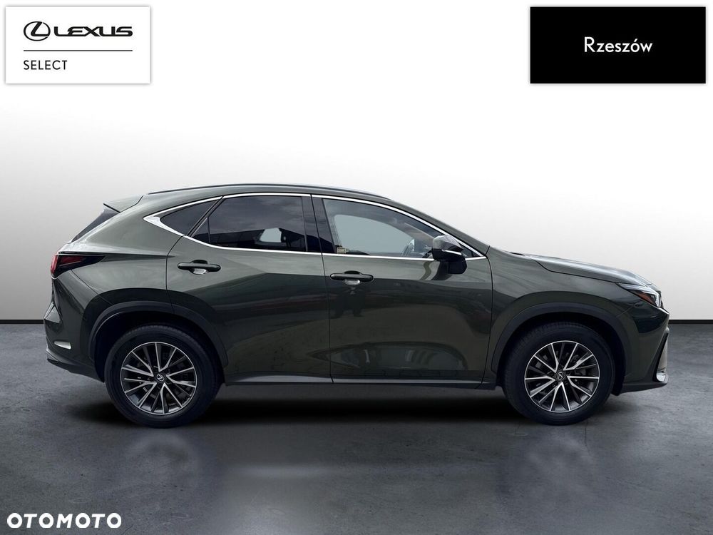Lexus NX 350h Prestige AWD - 6