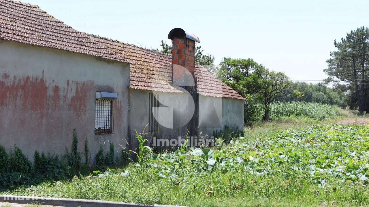 Moradia para recuperar em lote de 1.800 m2 - Grande imagem: 2/36