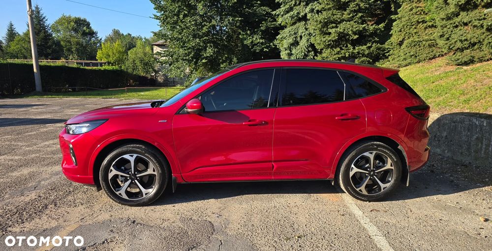 Ford Escape - 4