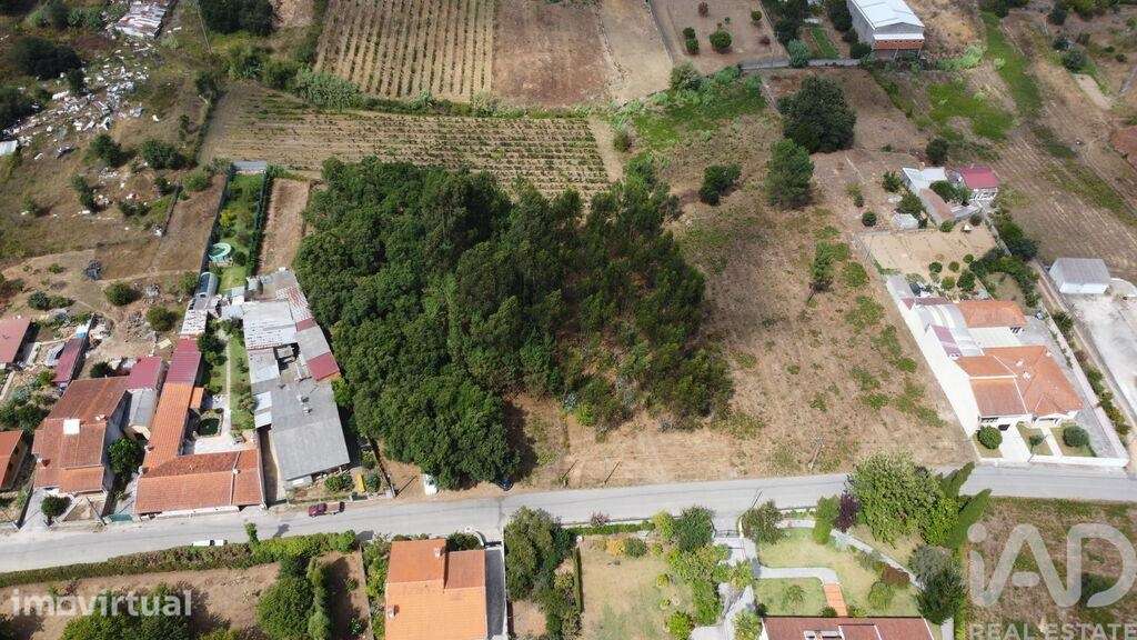 Terreno em Sangalhos - Grande imagem: 5/12