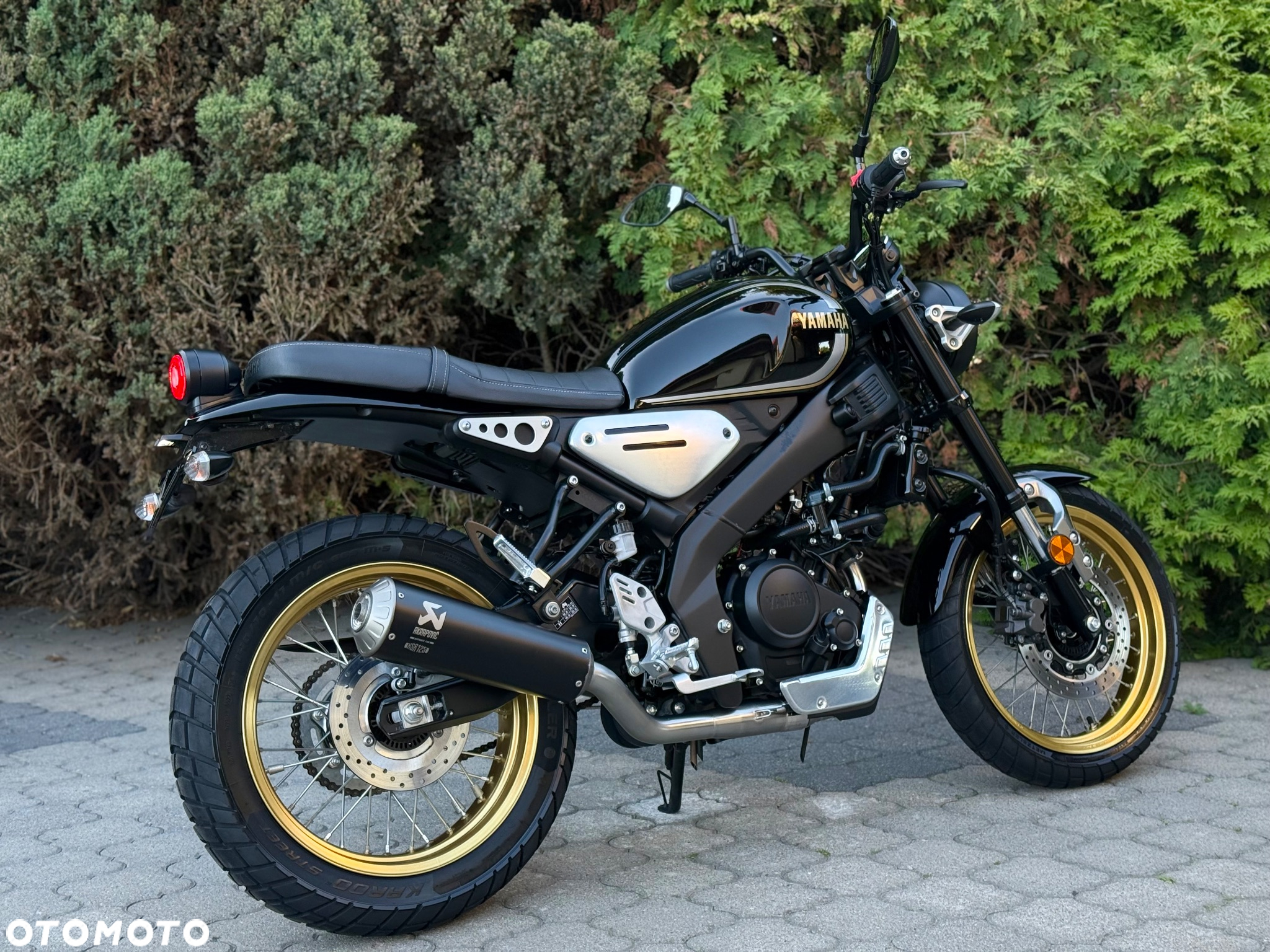 Yamaha XSR - 3