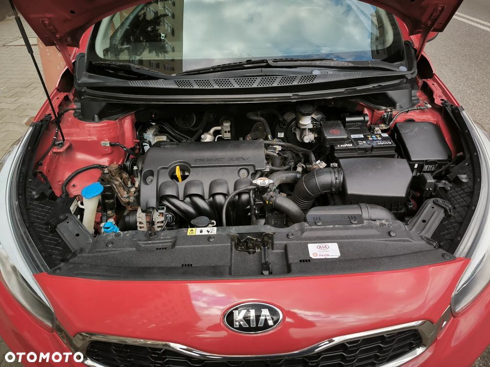 Kia ProCeed - 22
