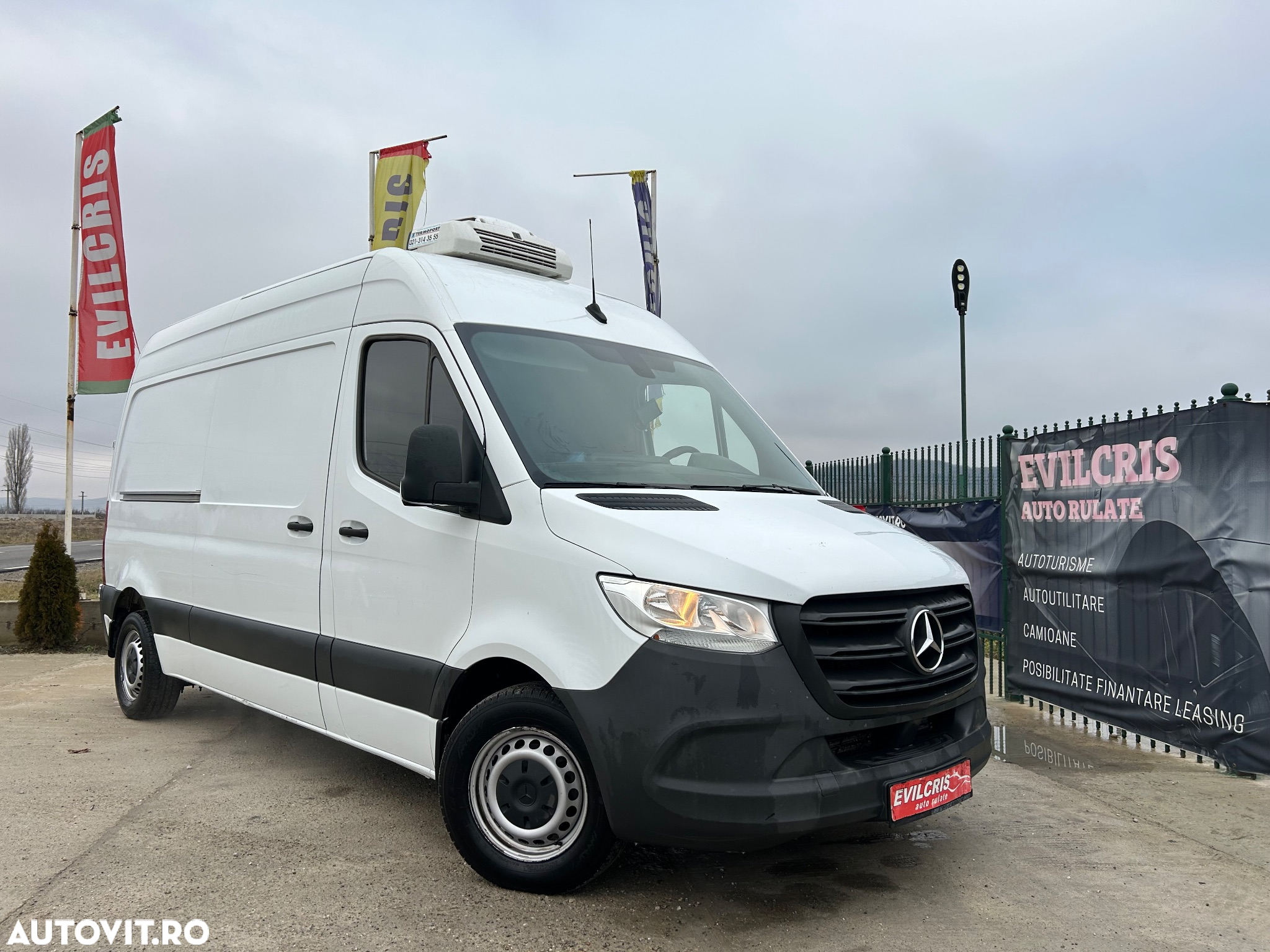 Mercedes-Benz Sprinter FRIGORIFIC THERMO KING - 37