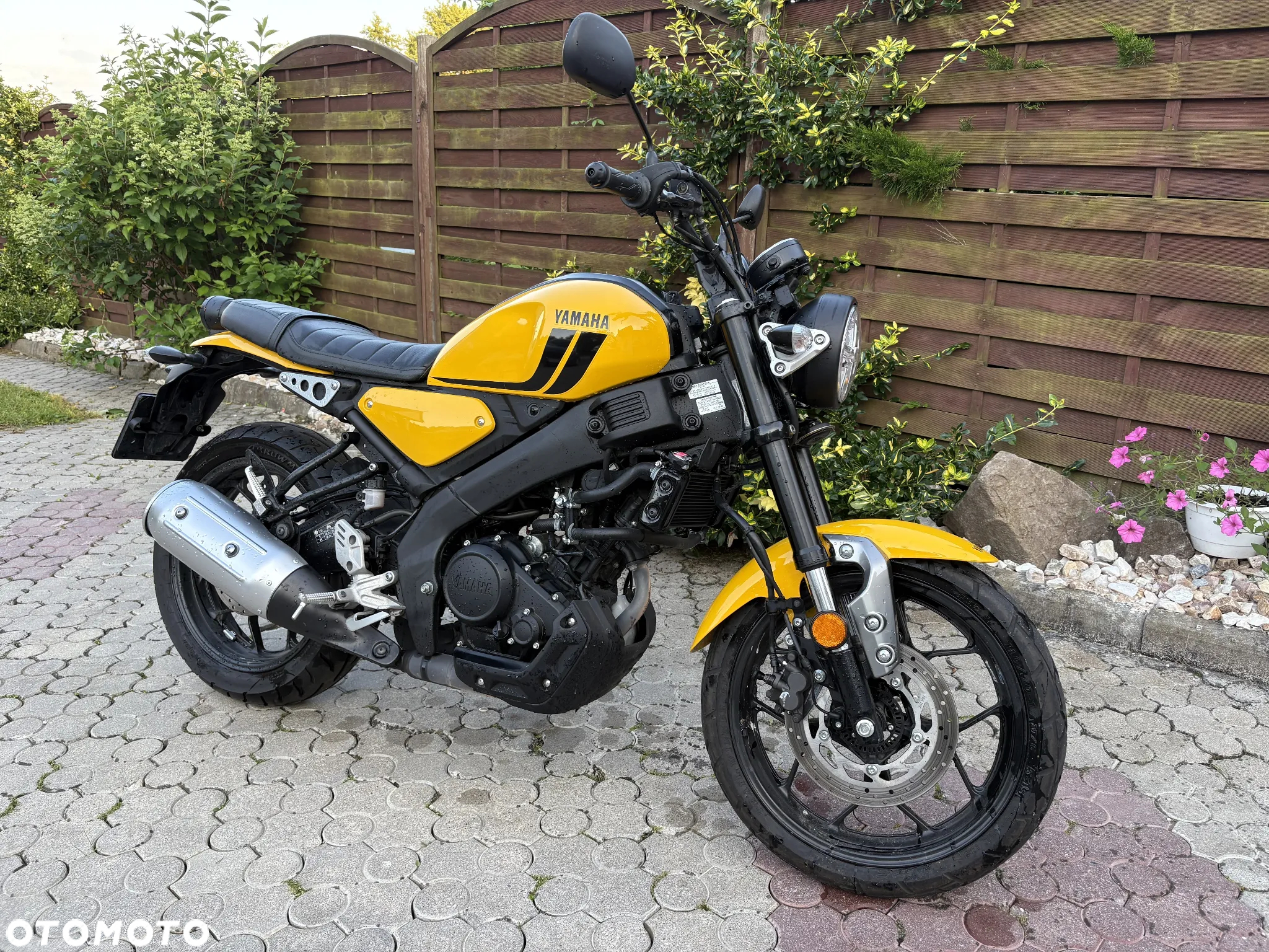 Yamaha XSR - 5
