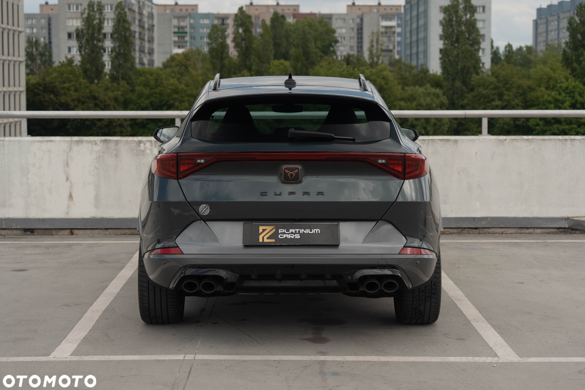 Cupra Formentor 2.0 TSI 4Drive VZ DSG - 4