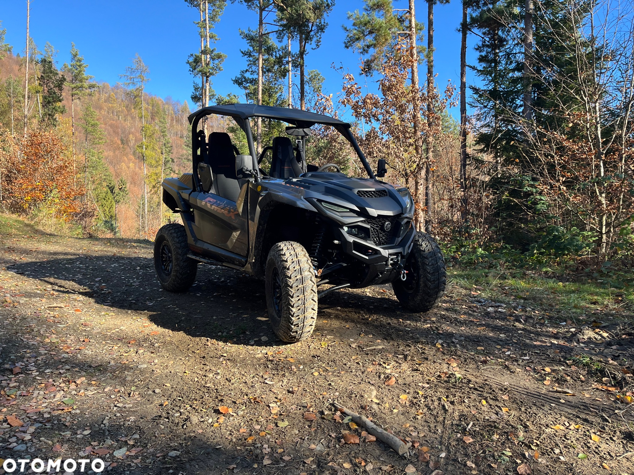 Yamaha Wolverine - 6