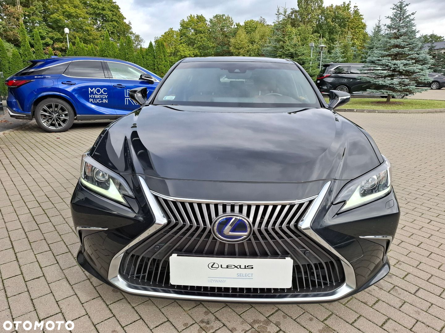 Lexus ES 300h Elegance - 8