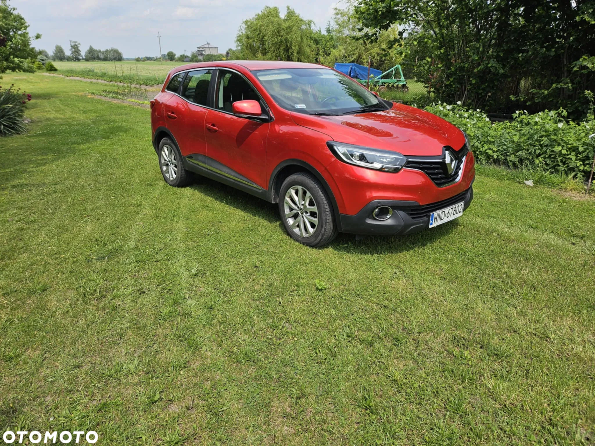 Renault Kadjar - 2
