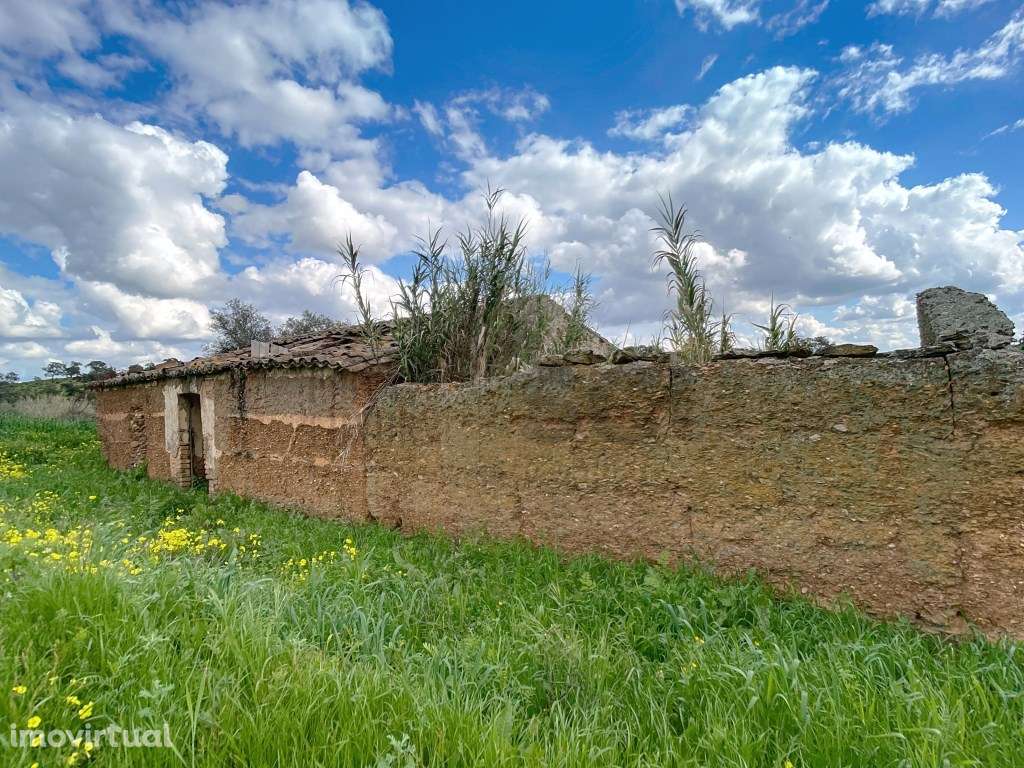 Quinta no Alentejo com duas habitações - Grande imagem: 3/60