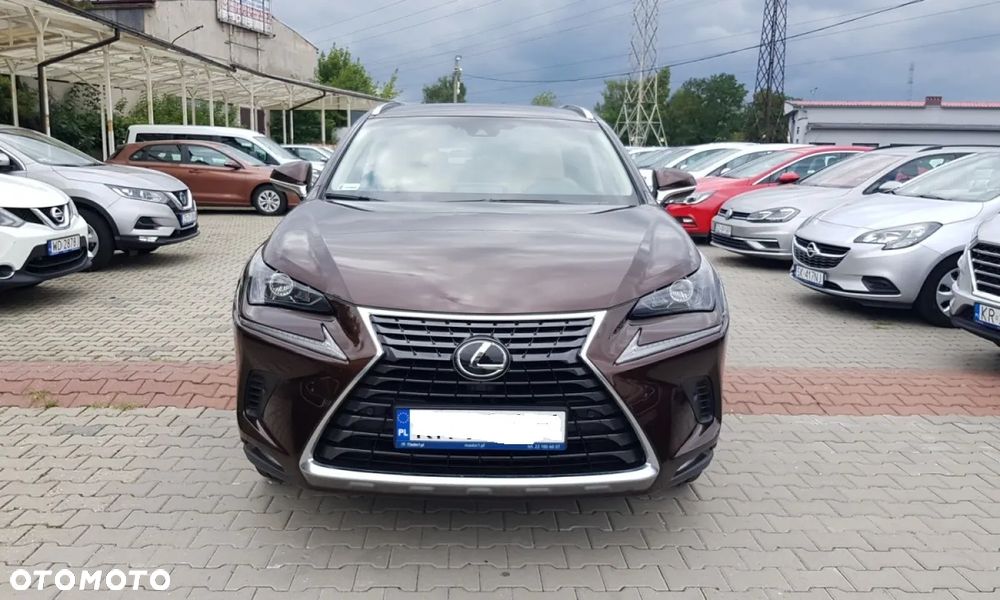 Lexus NX 300 Elegance Optimum AWD - 3