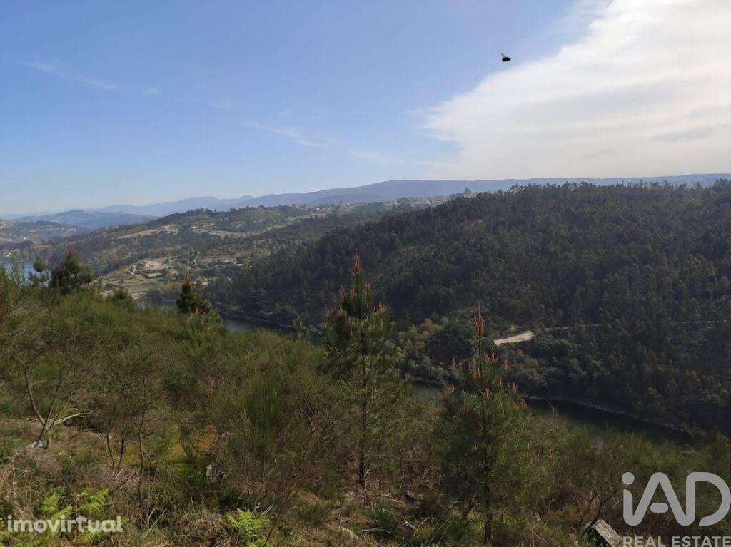 Terreno em Vila Boa de Quires e Maureles de 12000,00 m2 - Grande imagem: 3/12