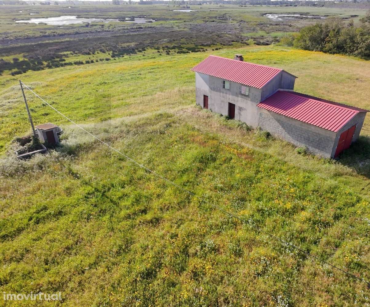 Terreno com 37.000m2 - Grande imagem: 4/7