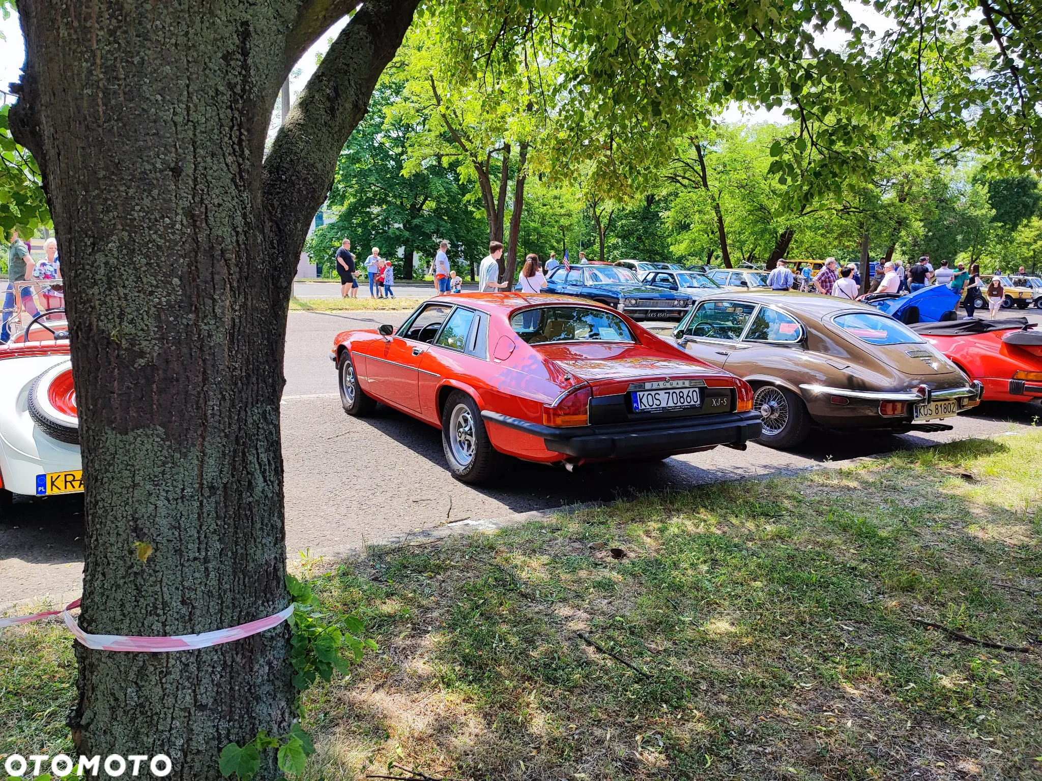 Jaguar XJS - 16