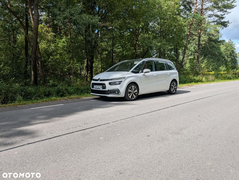 Citroën C4 Picasso 2.0 BlueHDi MoreLife S&S - 10
