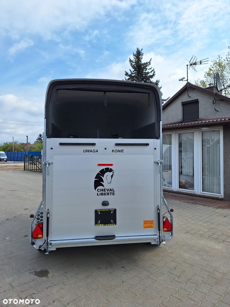 Cheval Liberte Gold Origin Debon - 15