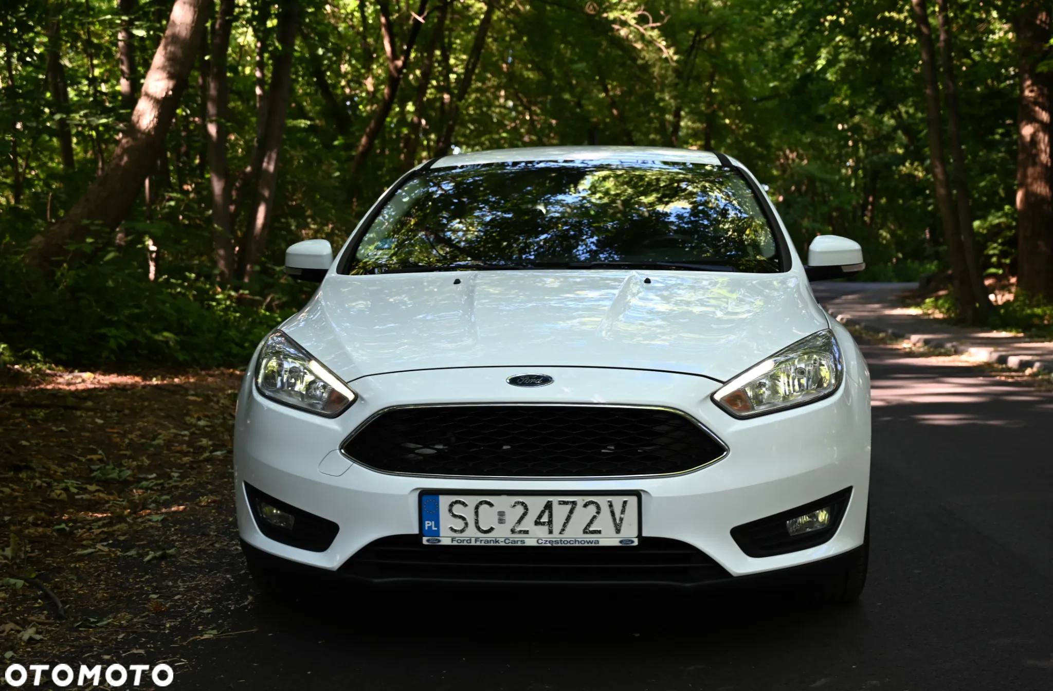 Ford Focus - 2