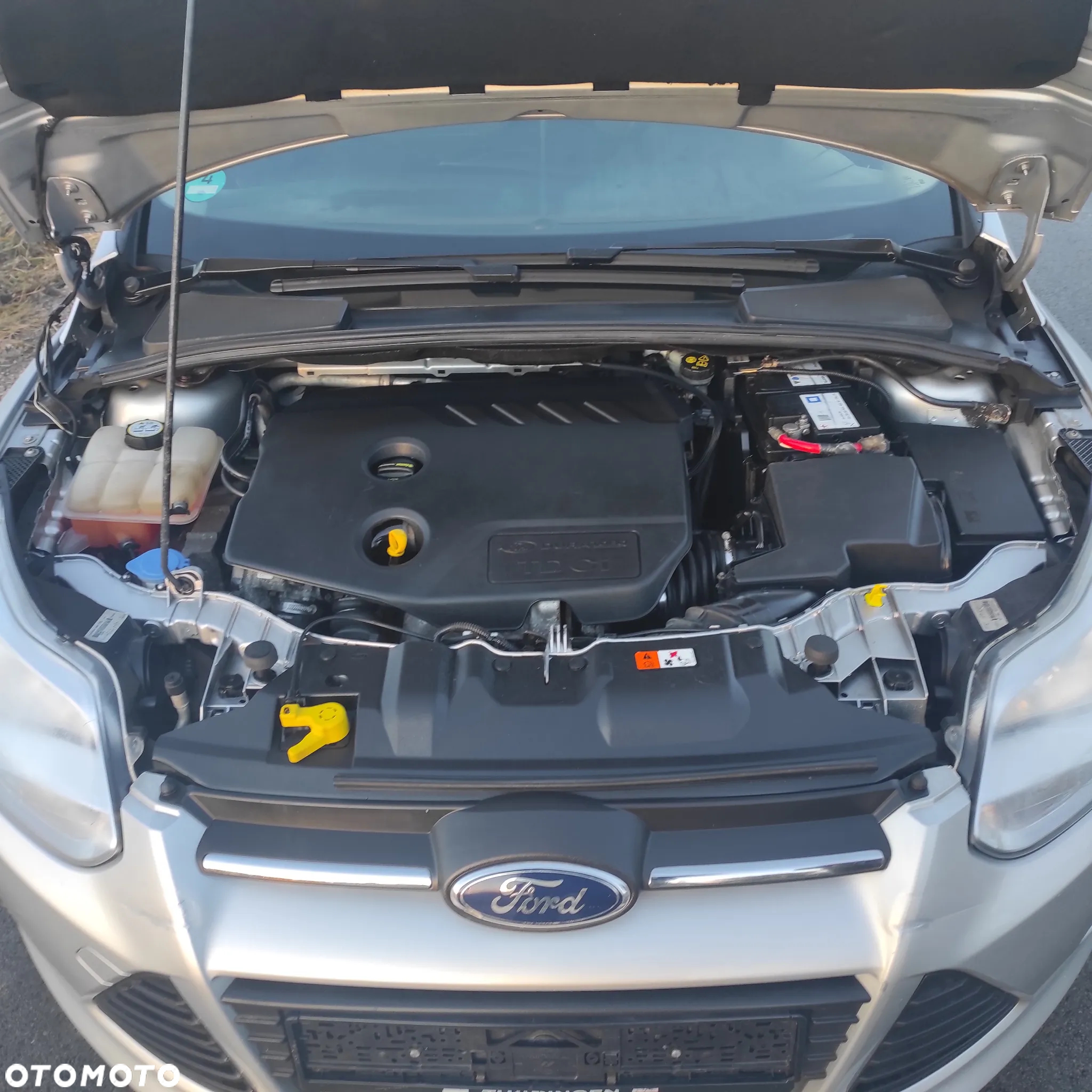 Ford Focus - 20