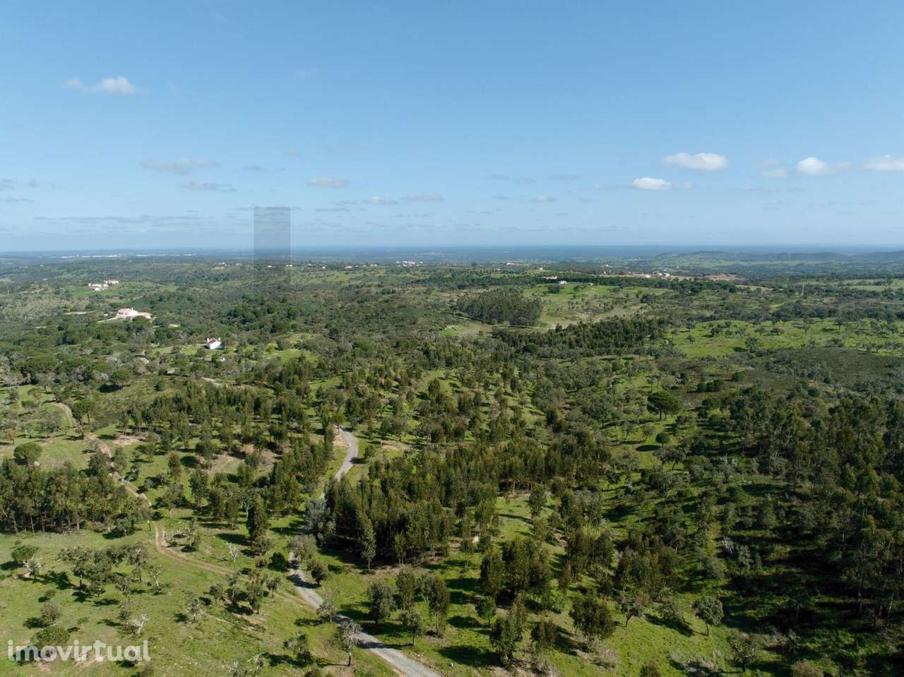 Terreno Rústico com 9,3 Hectares na Serra de Grândola – Mosqueirões - Grande imagem: 5/25
