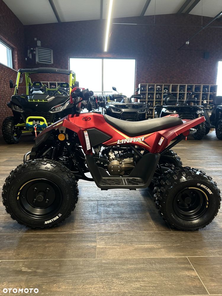 Linhai ATV - 10