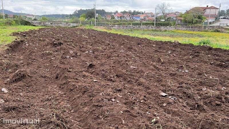 Terreno Agrícola em Baltar - Grande imagem: 2/2