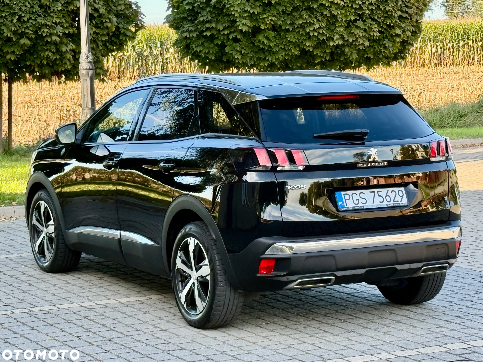 Peugeot 3008 1.5 BlueHDi Crossway S&S - 8