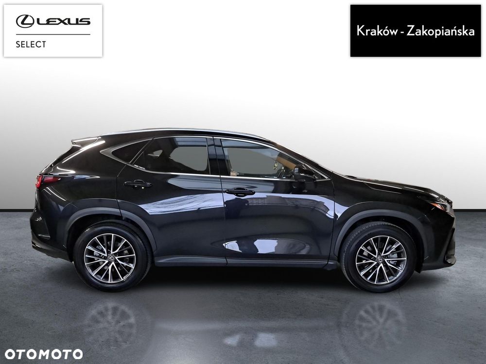Lexus NX 350h Prestige AWD - 7