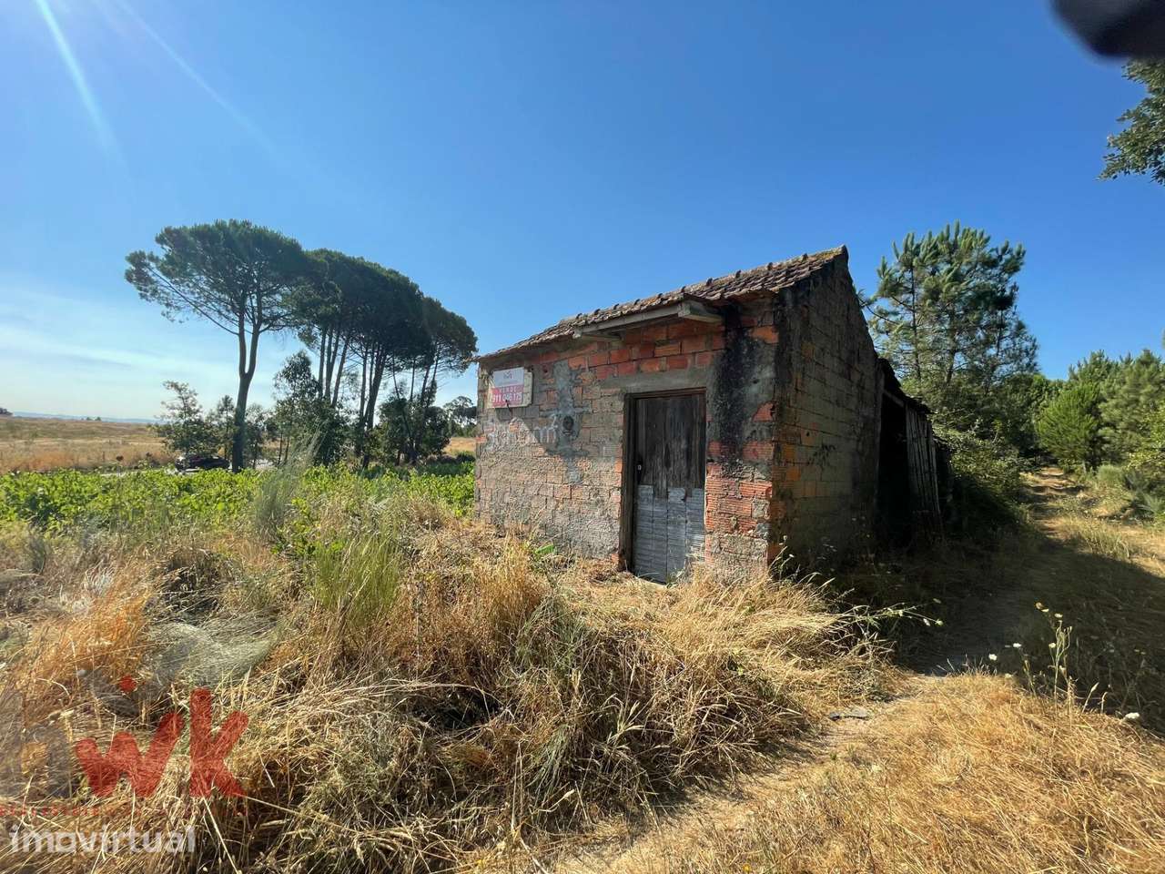 Terreno com + de 3.000m2 com barracão - Grande imagem: 3/26