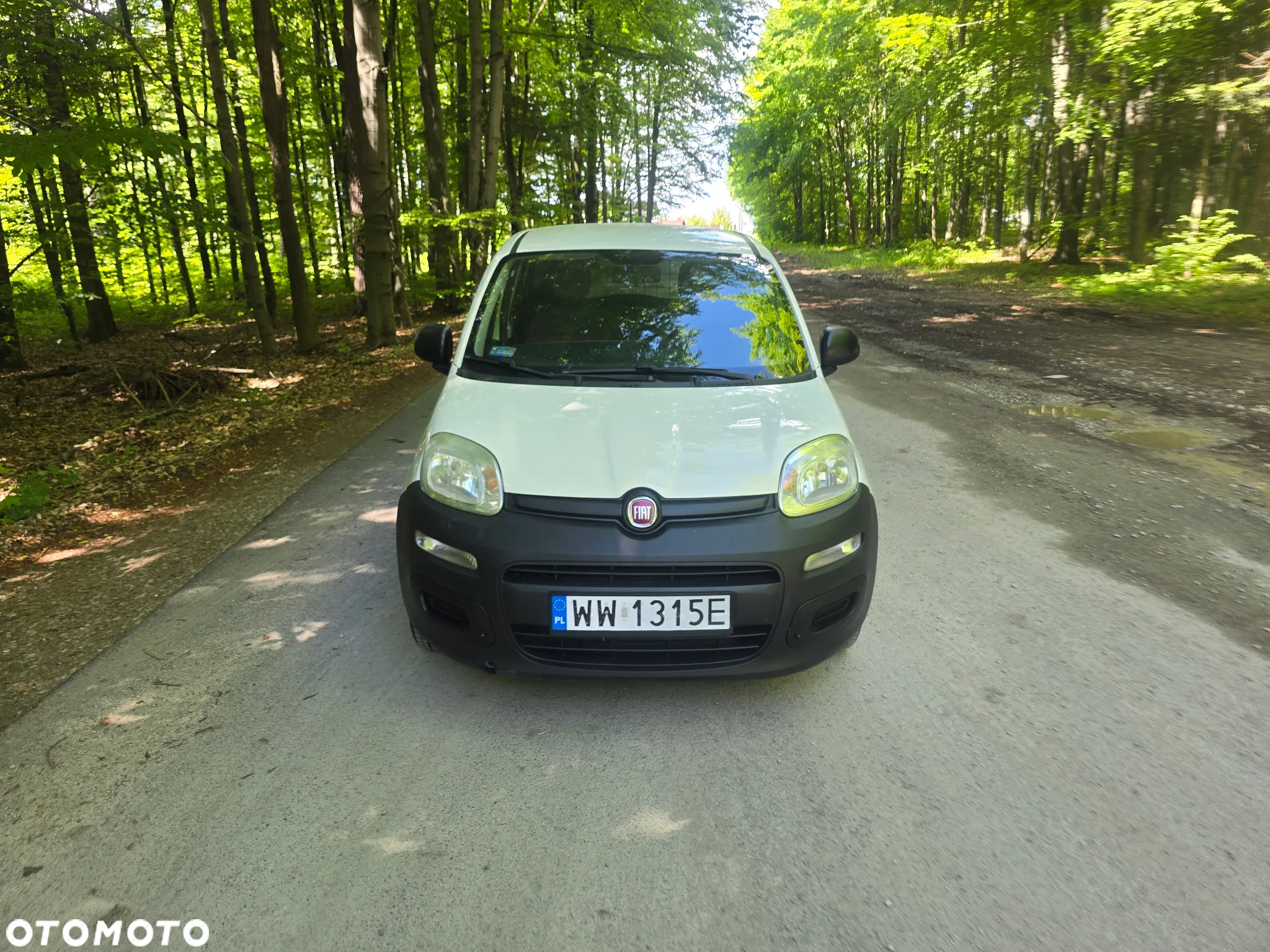 Fiat Panda - 2
