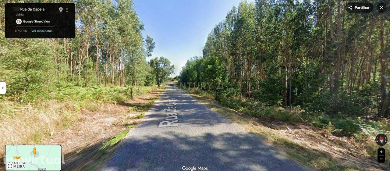 Terreno Rústico – Pinhal e Mato | 1.100 m² | Vila Facaia – Pedrógão Gr - Grande imagem: 4/5