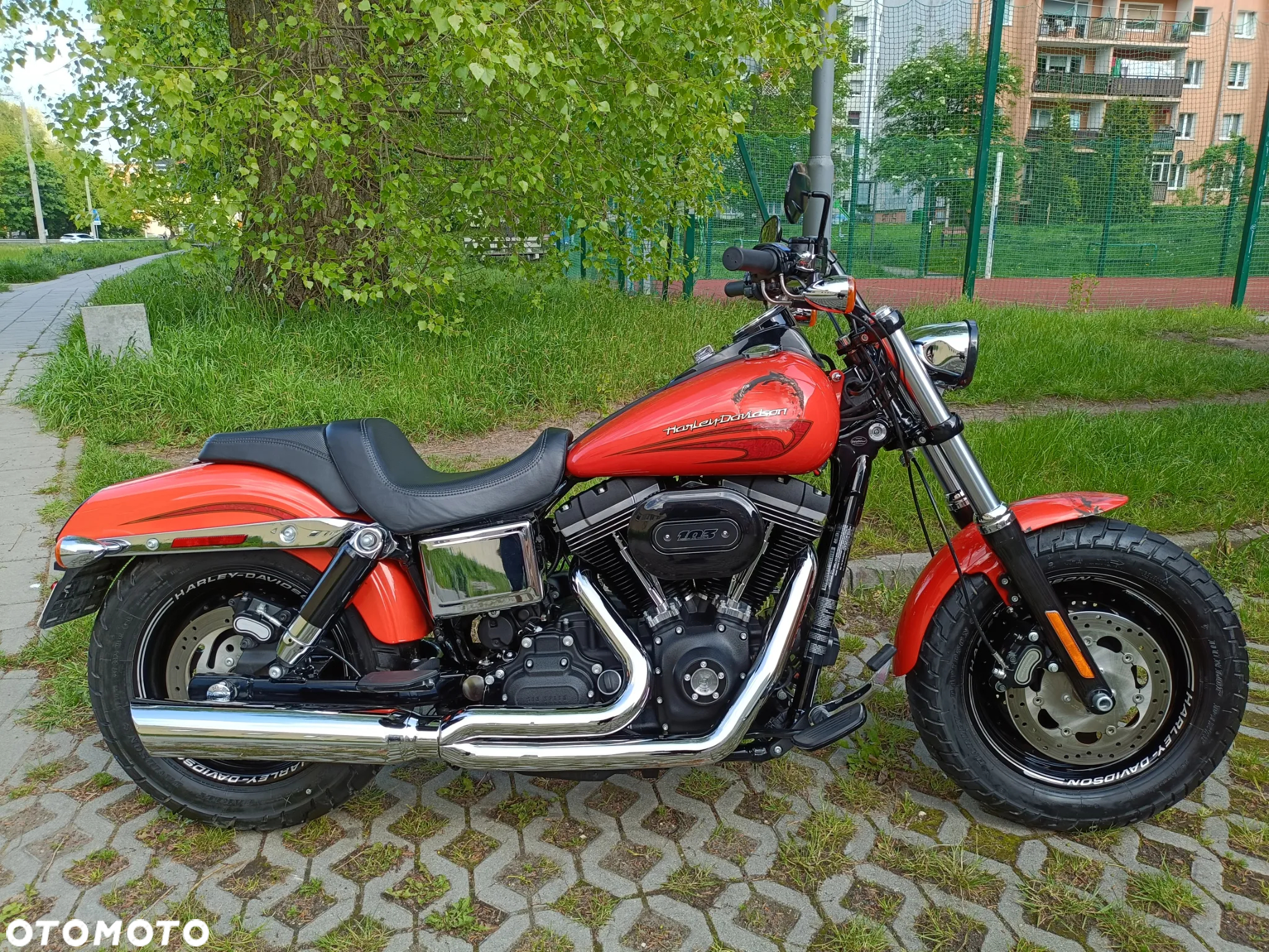 Harley-Davidson Dyna Fat Bob - 19
