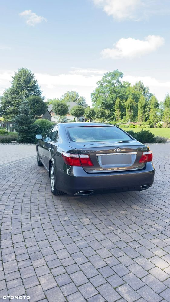 Lexus LS 460 Elite - 6
