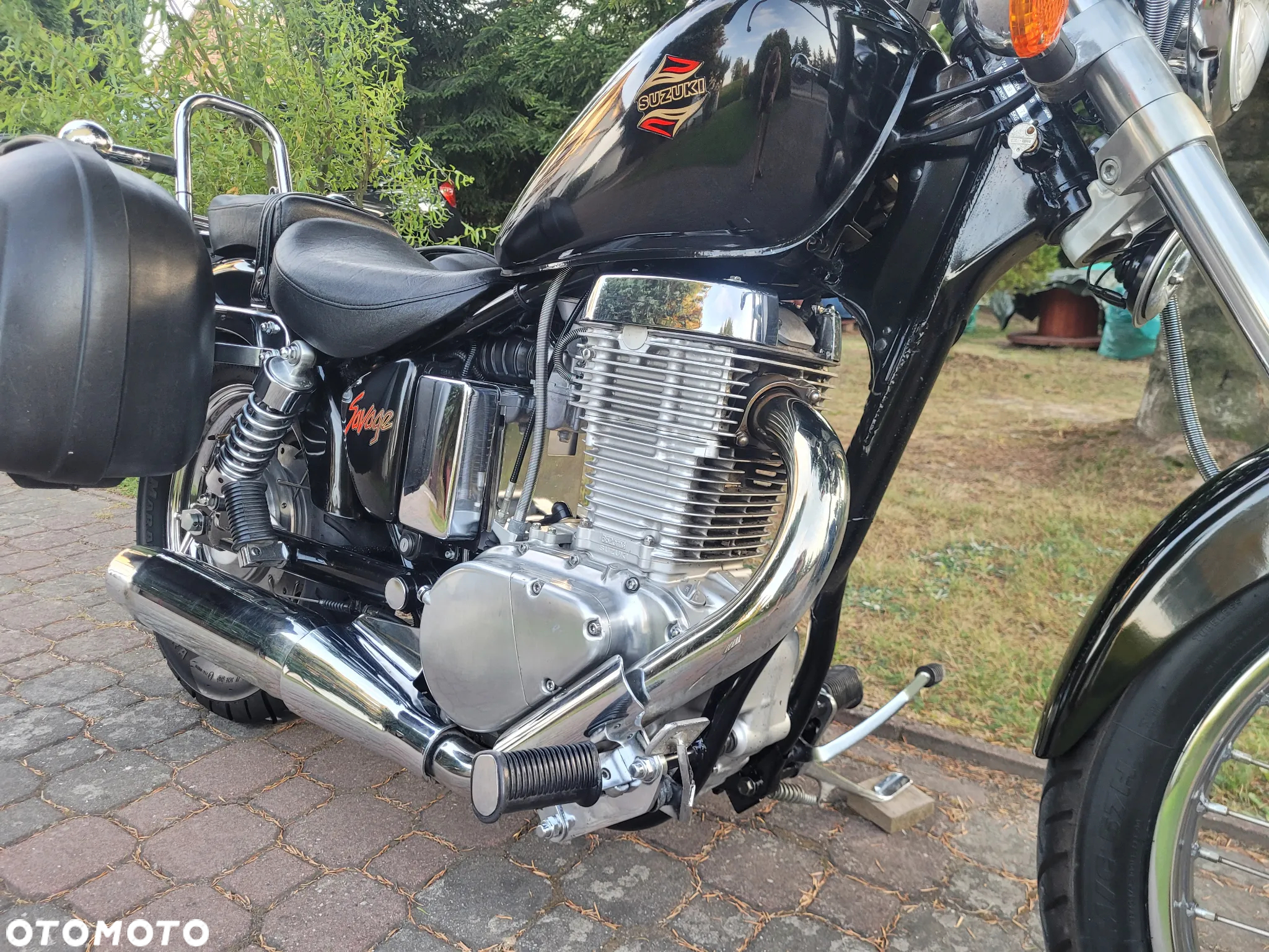 Suzuki Savage - 7