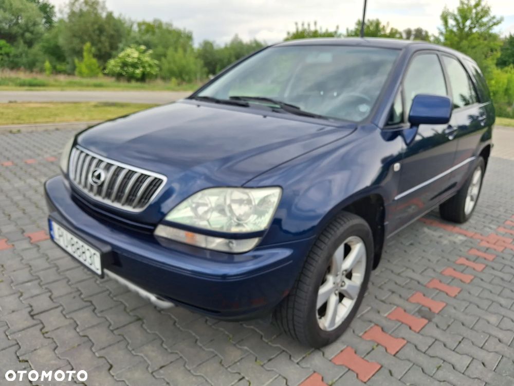 Lexus RX Lux - 11