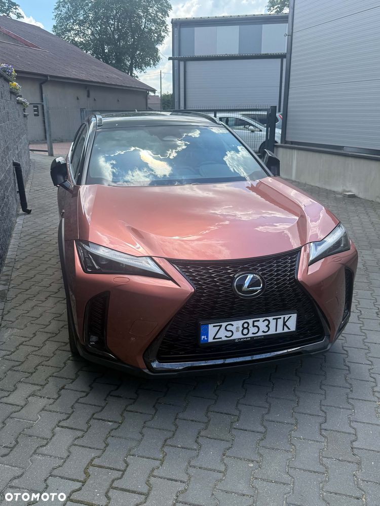 Lexus UX 300h F Sport Design AWD - 1