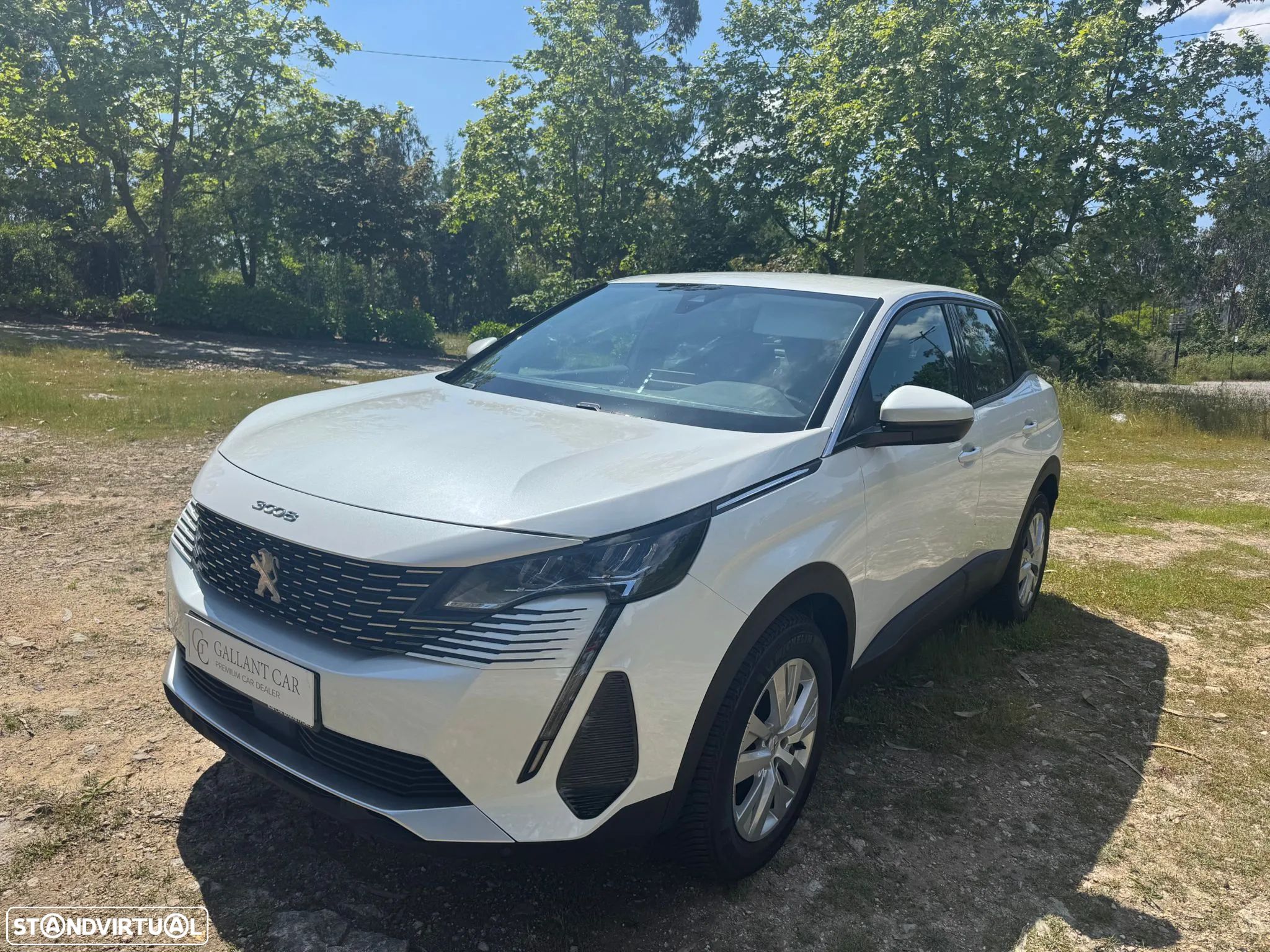 Peugeot 3008 - 1