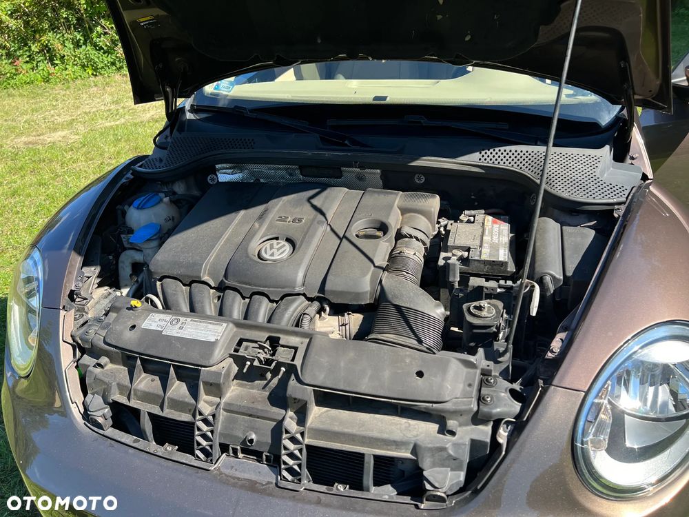 Volkswagen Beetle - 19