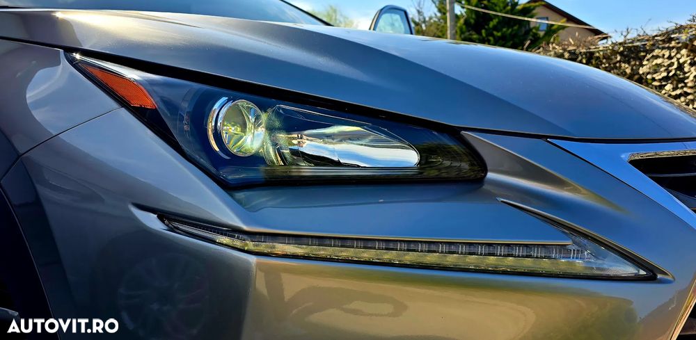 Lexus Seria NX 300h - 13