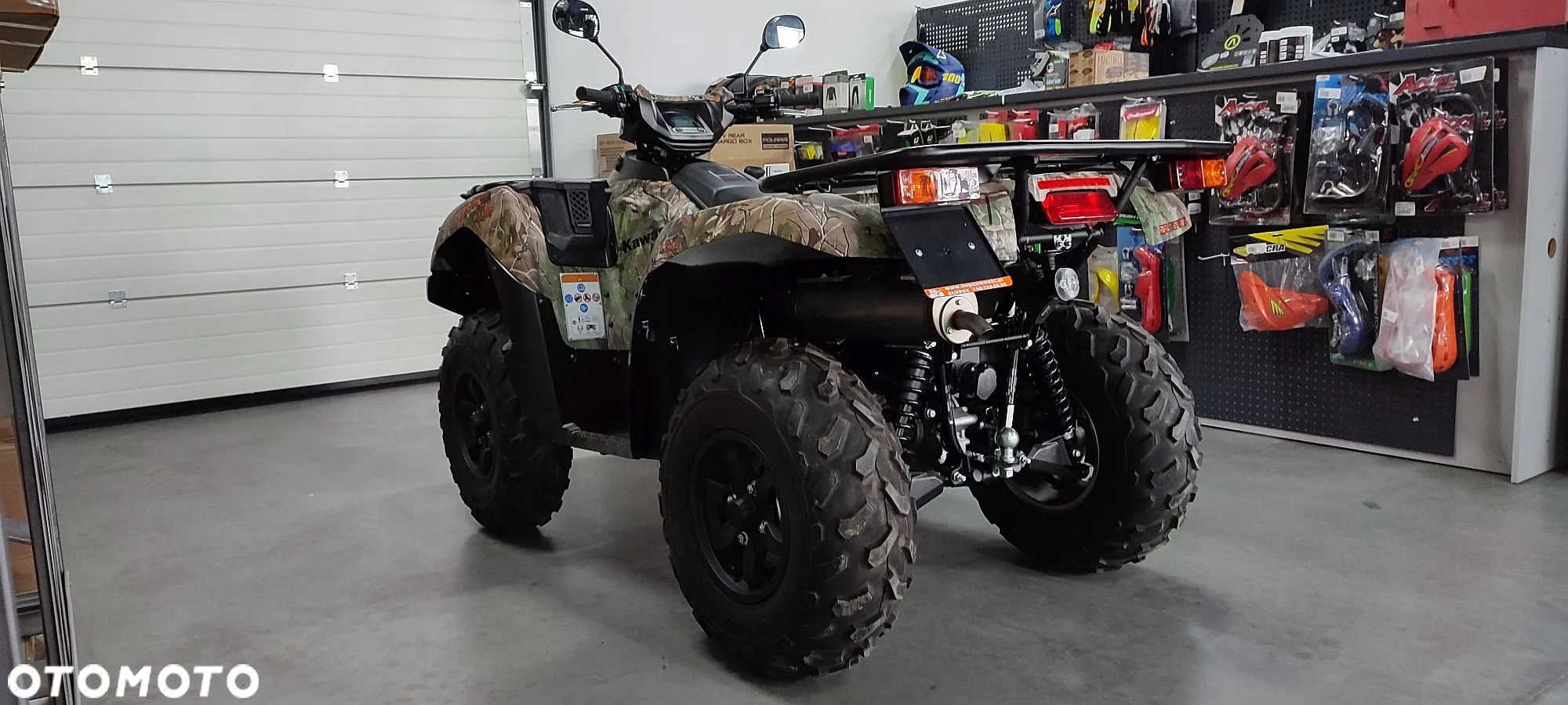 Kawasaki Brute Force - 4