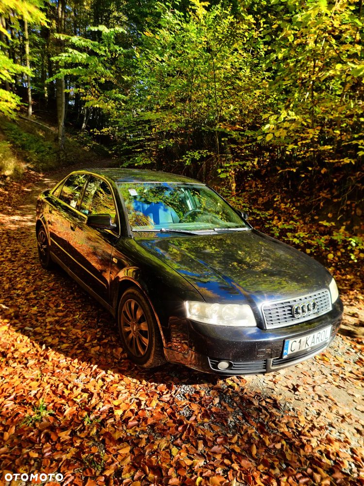 Audi A4 - 1
