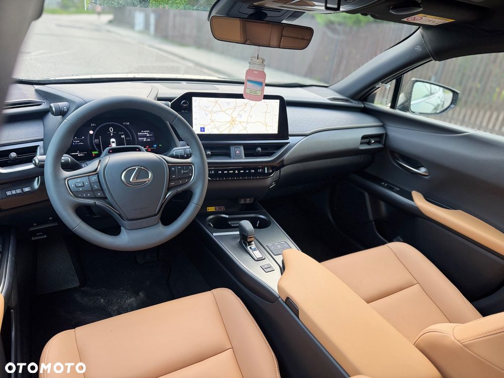 Lexus UX 300h F Sport AWD - 18