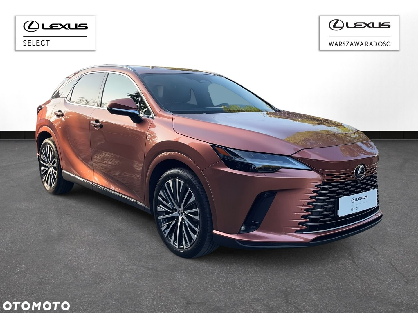 Lexus RX - 5