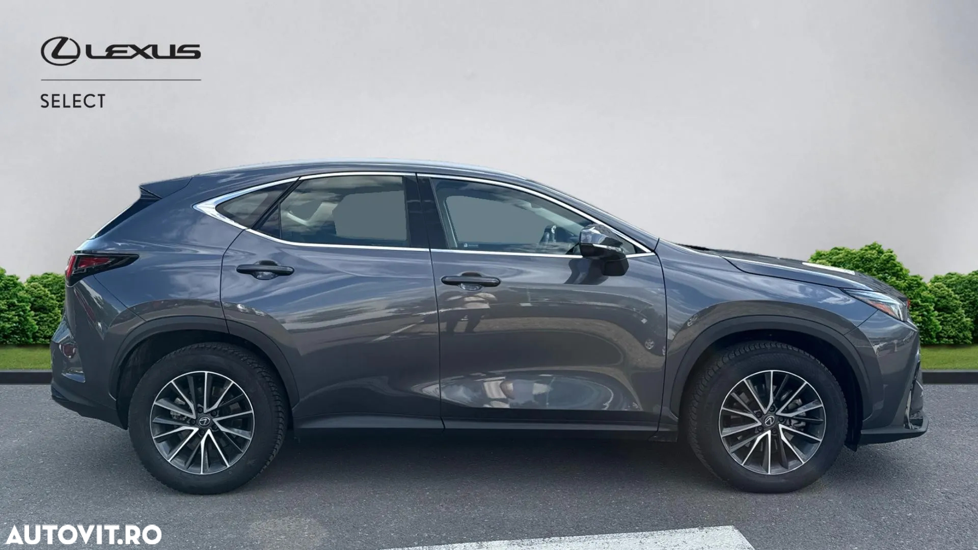 Lexus Seria NX 350h AWD CVT HEV Business - 19