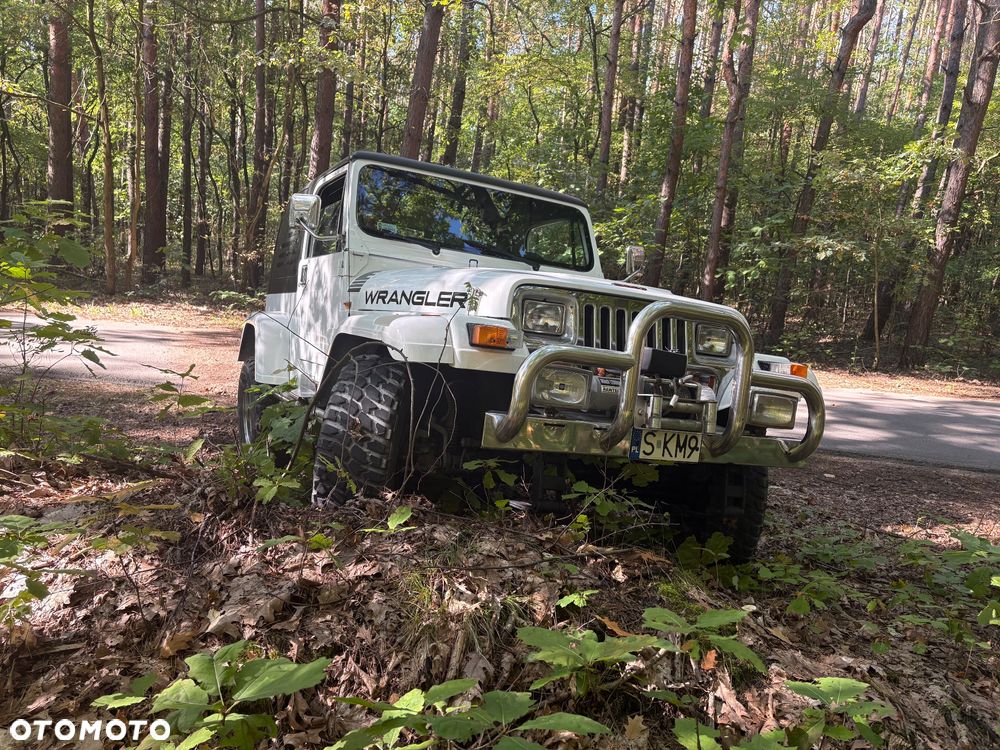 Jeep Wrangler 1993 photo 2