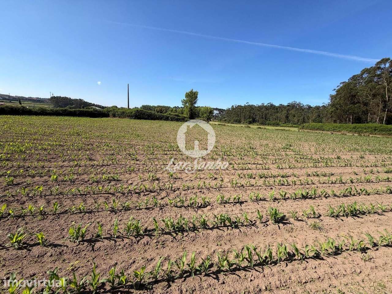 Terreno para construção de Moradias 3.400m² em Labruge, Vila do Conde - Grande imagem: 5/13