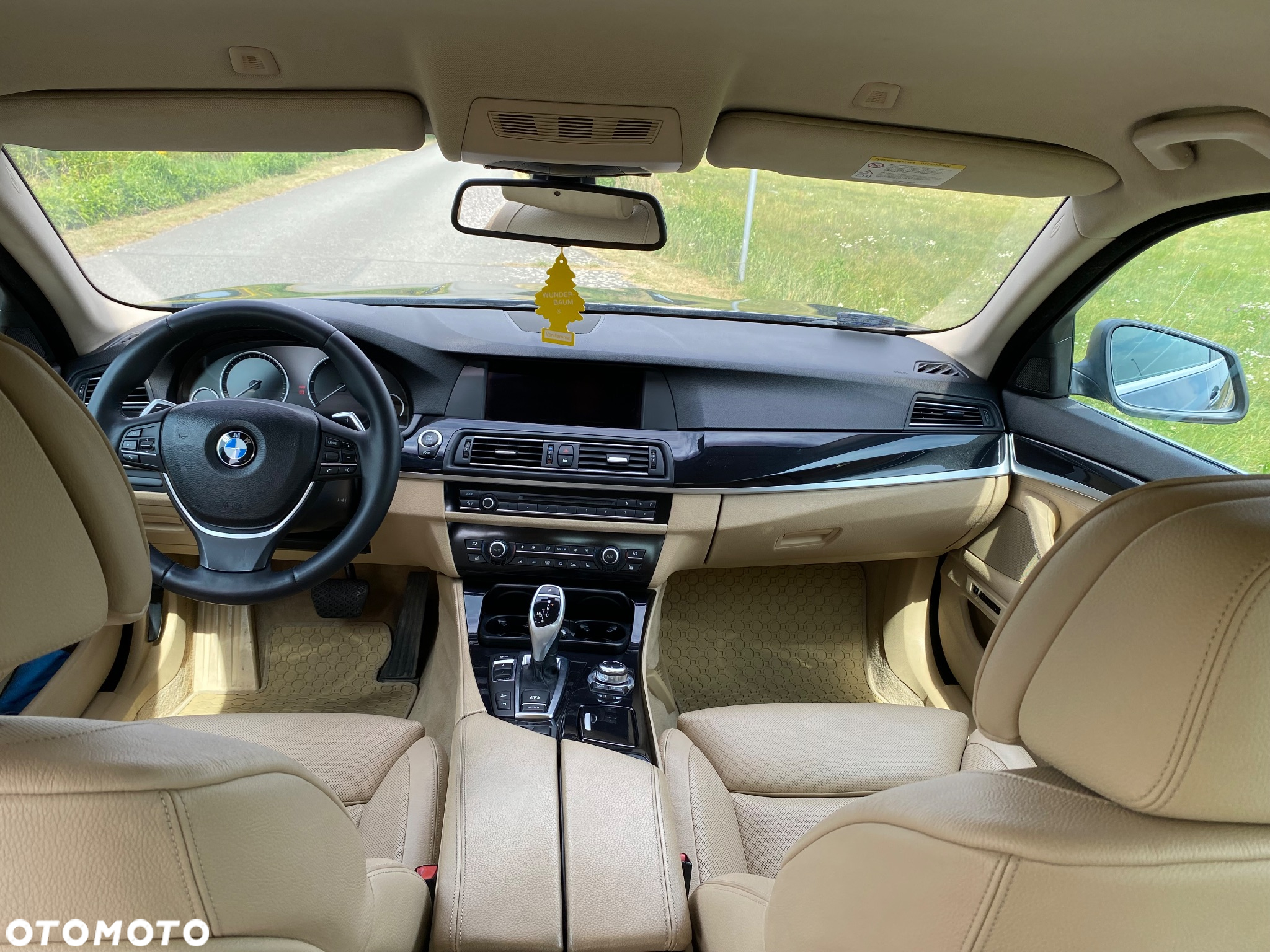 BMW Seria 5 530d xDrive - 15