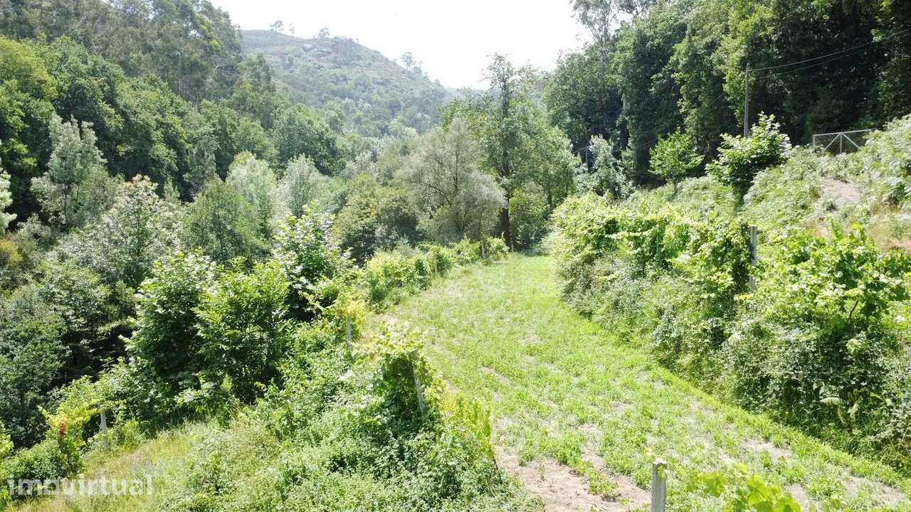 Terreno Agrícola com 5.695 m² em Chorense – Terras de Bouro - Grande imagem: 5/10