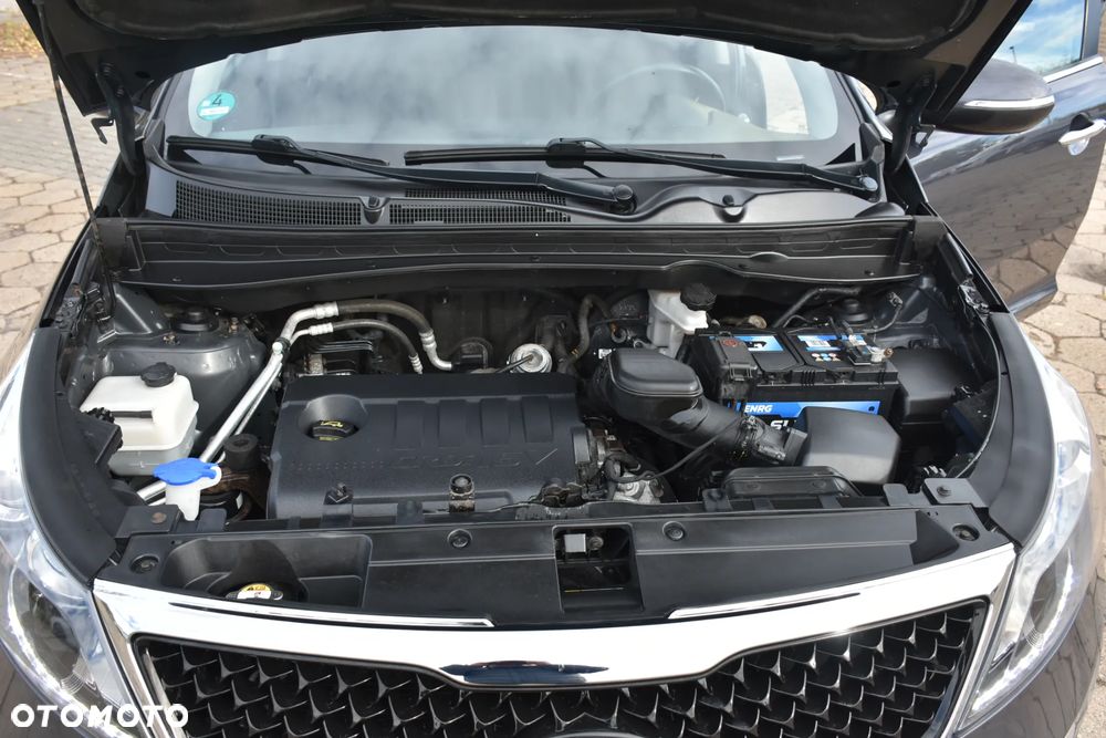Kia Sportage - 23