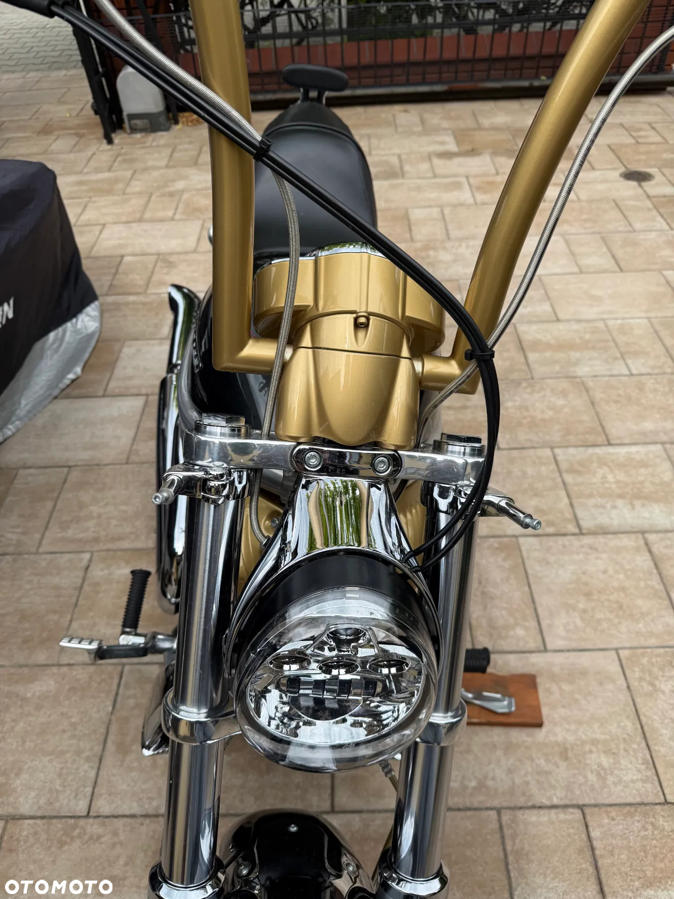 Harley-Davidson Softail V-Rod - 5