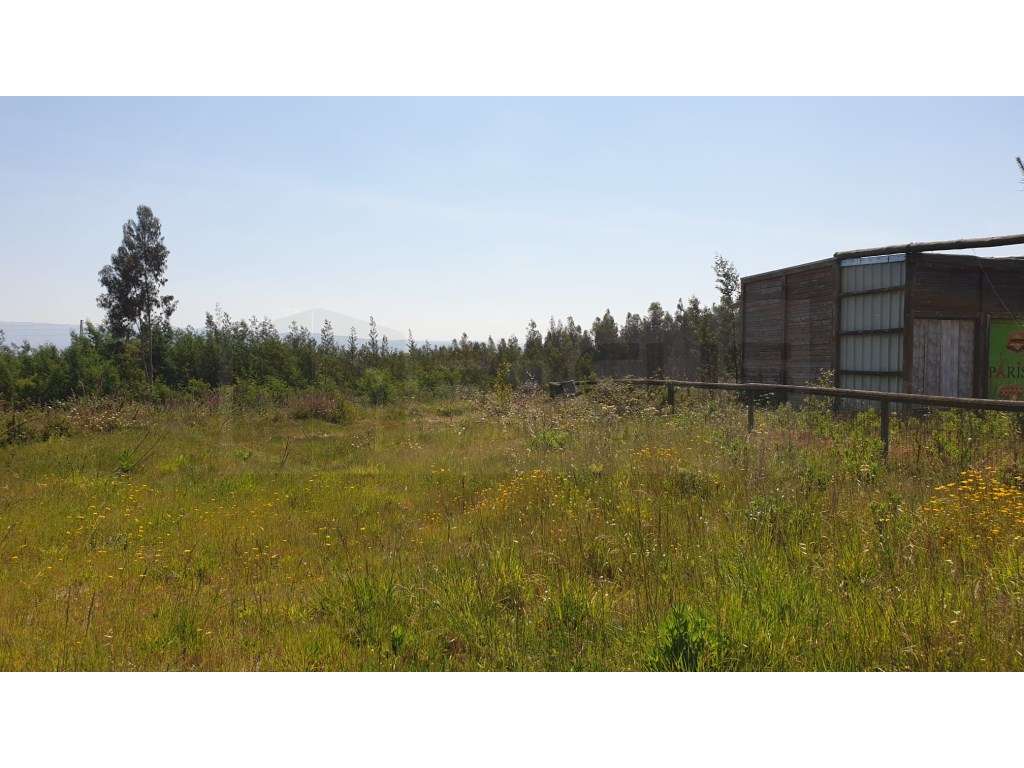 Terreno para construção de Pavilhão / Industria Albergaria-a-Velha - Grande imagem: 3/9