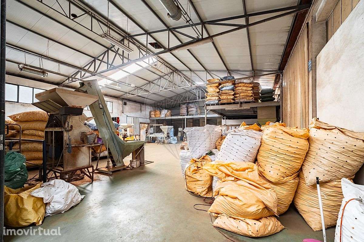 Armazém  para venda - Grande imagem: 5/37